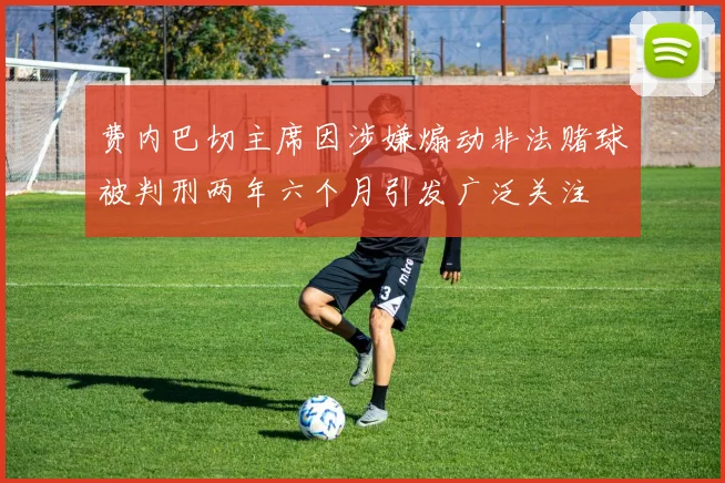 费内巴切主席因涉嫌煽动非法赌球被判刑两年六个月引发广泛关注